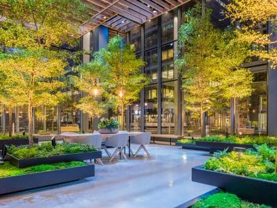 The Ultimate Glossary of Biophilic Design Terms